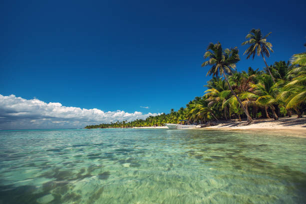 White sand beach next to clear, turquoise ocean waters in the Caribbean.